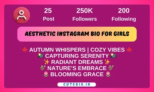 Aesthetic Instagram bio for girls