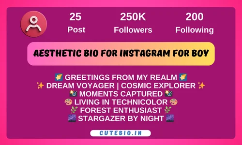 Aesthetic bio for Instagram for boy