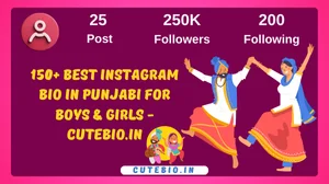 Best Instagram Bio In Punjabi For Boys & Girls