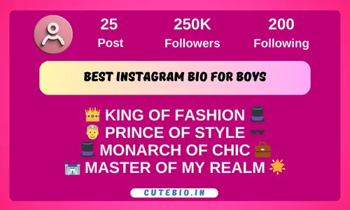 Best Instagram Bio for Boys
