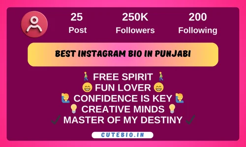 Best Instagram Bio in Punjabi