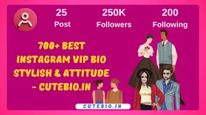 Best Instagram Vip Bio Stylish & Attitude