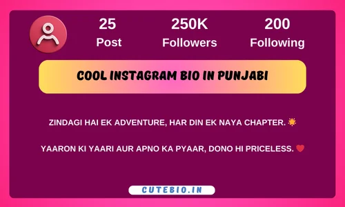 Cool Instagram Bio In Punjabi