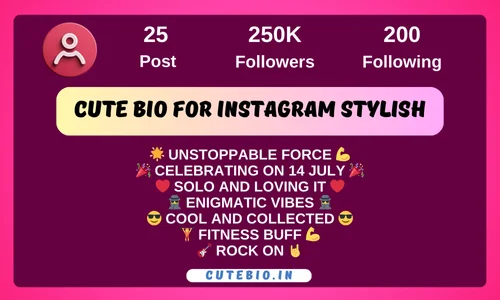 Cute Bio for Instagram Stylish