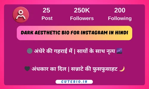 Dark aesthetic bio for instagram in Hindi