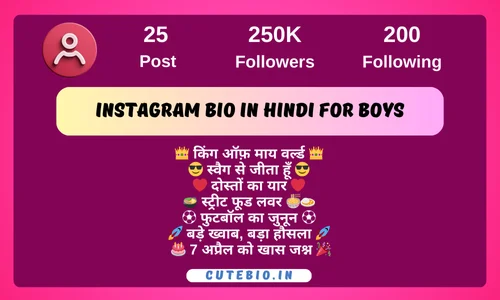 Instagram Bio In Hindi For Boys