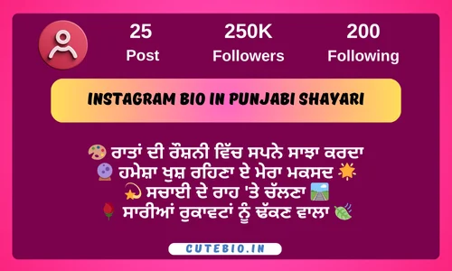 Instagram Bio In Punjabi Shayari