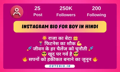 Instagram Bio for Boy in Hindi