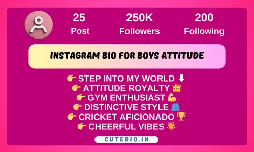 Instagram Bio for Boys Attitude