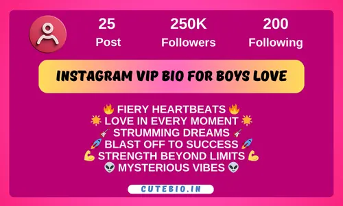 Instagram Vip Bio For Boys Love