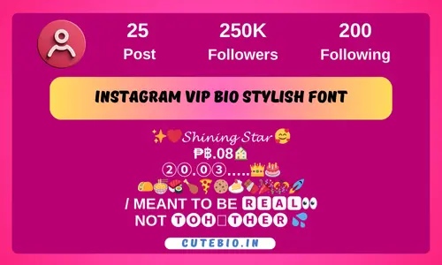 Instagram Vip Bio Stylish Font