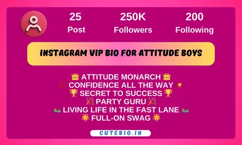 Instagram Vip Bio for Attitude Boys