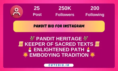 Pandit Bio For Instagram