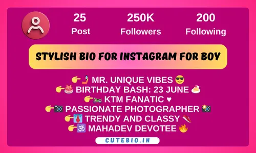 Stylish Bio for Instagram for boy