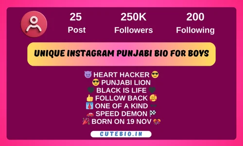 Unique Instagram Punjabi Bio For Boys