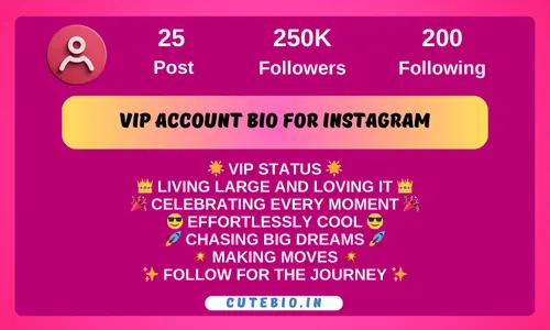 Vip Account Bio for Instagram