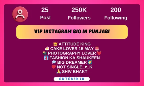 Vip Instagram Bio In Punjabi