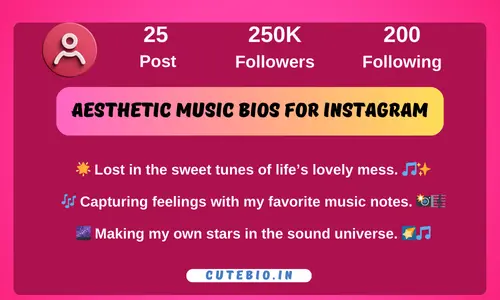 Aesthetic Music Bios for Instagram