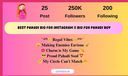 Best Pahadi Bio For Instagram || Bio For Pahadi Boy 