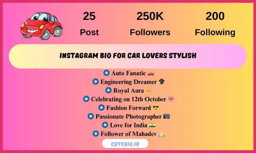 Instagram Bio For Car Lovers Stylish