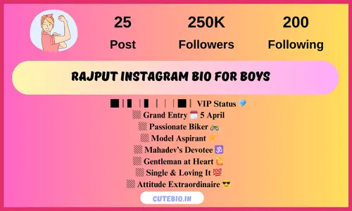 Instagram Vip Account Bio